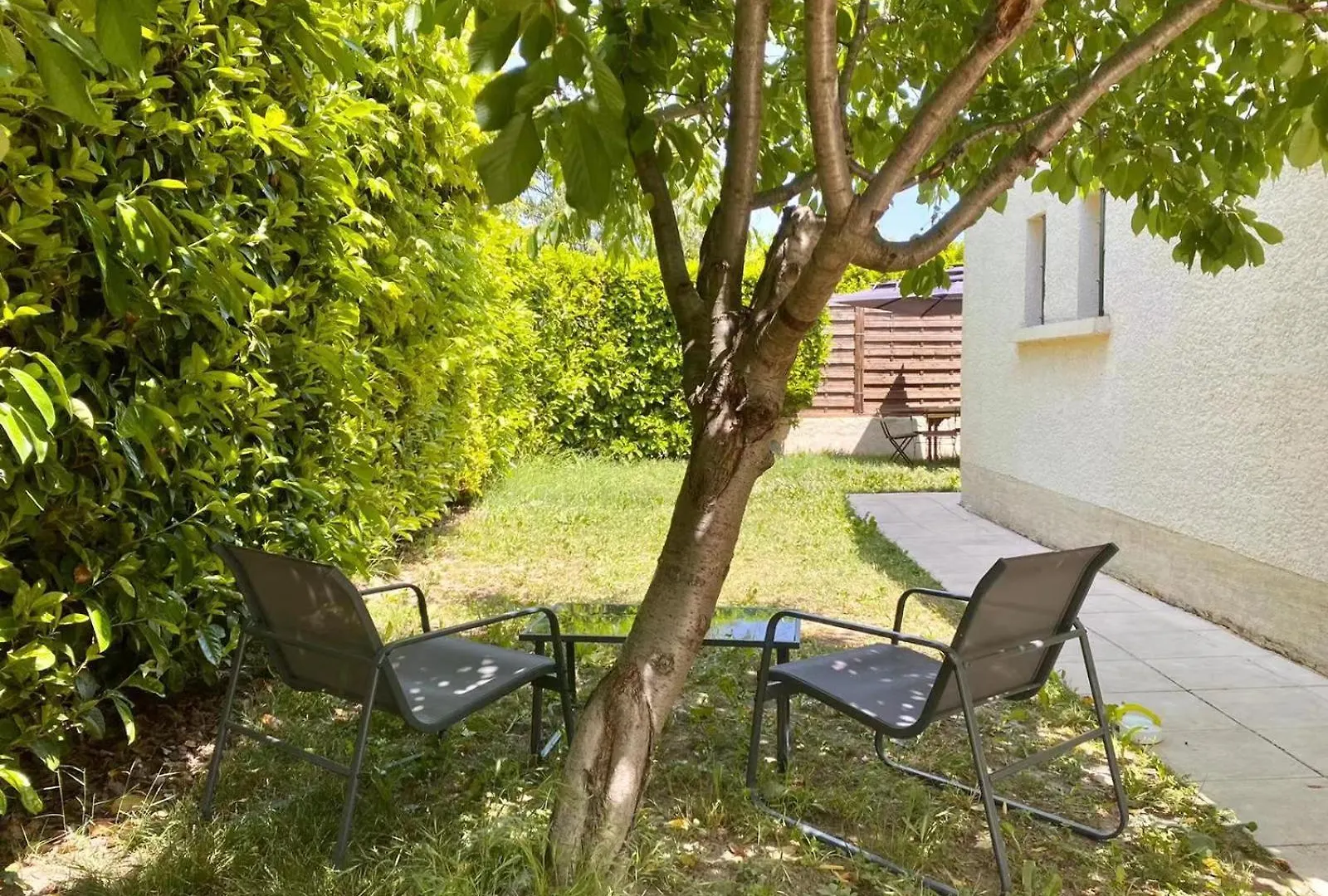 Charmante Maison Provencale Avec Piscine Dans Avignon